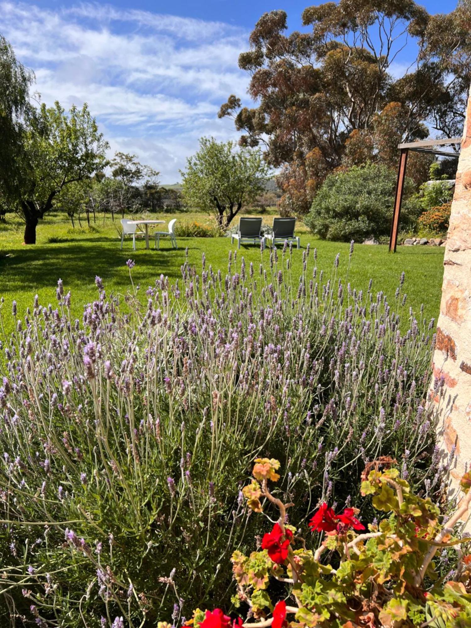 The Old Chaff Mill Organic Vineyard Retreat Bed and Breakfast Sellicks Hill Buitenkant foto